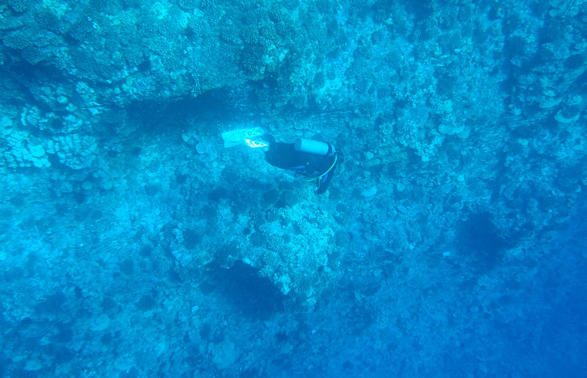 Maui Snorkeling - 35_cropped